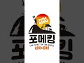 까불지마라. 행동으로 보여주는 깡패 포메라니안. shorts 깡패 포메라니안