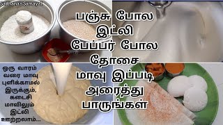 Perfect Ratio \u0026 Tricks for Soft Idli \u0026 Dosa | Soft Idli \u0026 Crispy Dosa Batter Recipe in Tamil