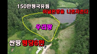 (정선산골)150만평 국유림접한 귀농 과수원하기좋은땅/독립된공간/나홀로땅/정선부동산매매/정선토지매매