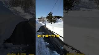 雪国あるある！自然に雪が解けるまでなんて 待てないー😂