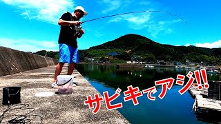 【爆釣!!!】簡単に釣れまくる!!!サビキでアジゴ（豆アジ）釣り!!!みんなやってみてww