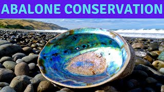 Saving Endangered Species from Climate Change | Abalone Conservation Aquaculture