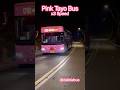 Pink Tayo Bus #hechi Bus #해치버스