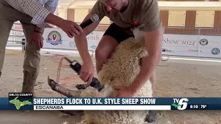 Shepherds flock to UK style sheep show in Escanaba