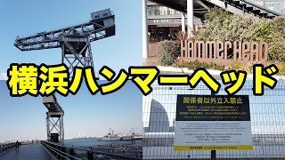 【横浜ハンマーヘッド】客船ターミナル・商業施設・ホテルからなる複合施設【みなとみらい】YOKOHAMA HAMMERHEAD