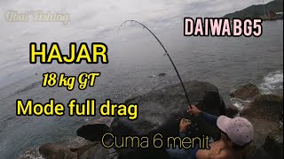 Daiwa BG5000 mode full drag taklukan GT 18 kg