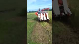 combine harvester kubota R1 301