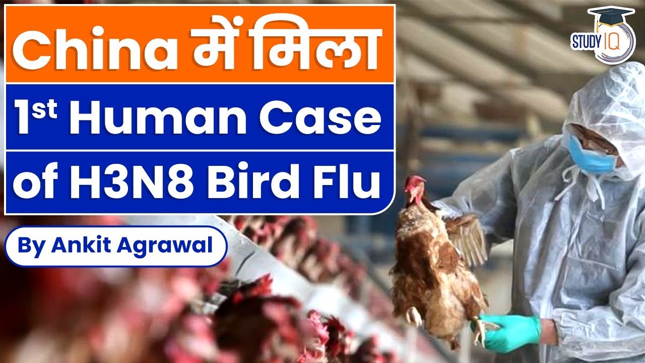 Next Pandemic After Coronavirus? China Reports First H3N8 Bird Flu Case ...