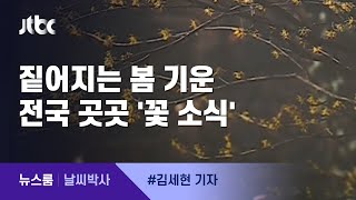 [날씨박사] 짙어지는 봄 기운…전국 곳곳 '꽃 소식' / JTBC 뉴스룸