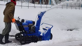 ビニールハウスの除雪作業！