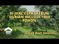 DI JUAL CEPAT KEBUN DURIAN INCLUDE 1000 POHON SUDAH ADA VILLA DAN KANDANG KAMBING