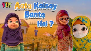 Kaneez Fatima New Episode  Aata Kaisay Banta Hai ?  - Kissan Day Special | 3D Animation