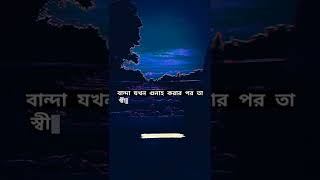 গুনাহ করার পর স্বীকার করে (অনুতপ্ত হয়) হলে যা হয়!😍