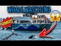 WE WENT ON THE HARBOR BREEZE CRUISE! 🐬 🐋 😳 (Long Beach, Ca)