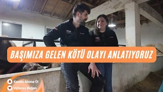 BİR HAYVANIMIZ ÖLDÜ | BAŞIMIZA GELEN BU KÖTÜ OLAYI ANLATIYORUZ