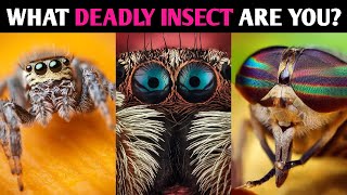 WHAT DEADLY INSECT ARE YOU? Personality Test Quiz - 1 Million Tests