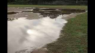 今時の散歩道で、秋の日の雨上がりに