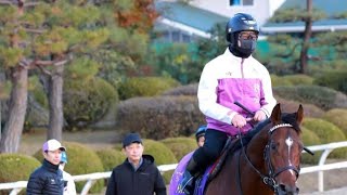 【有馬記念】ドウデュース出走取り消し　右前肢ハ行のため　武豊「仕方ない」　引退式中止へ