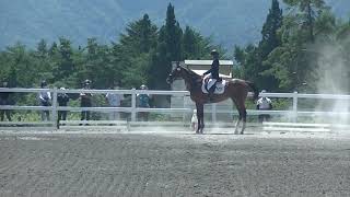 令和2年度関東学生馬術競技大会　第71回関東学生賞典総合馬術競技大会　調教審査　四年　濱崎結　麻駿