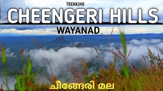 Cheengeri Hills Wayanad | Cheengeri Mala | Trekking at Wayanad | Kaduvakuzhi | Cheengeri Para