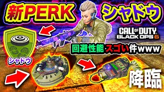 【CoD:BO6】ついに待望の新PERK『シャドウ』降臨！トラップ回避性能がスゴかった件www【ハセシン】Call of Duty: Black Ops 6