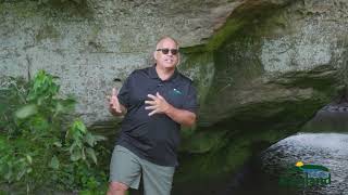 Why Do We Call It Pier County Park?