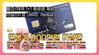 열심히 살면 넘볼 수 있는 프리미엄 카드[블랙카드 아님]