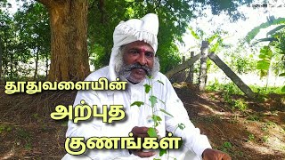 தூதுவளையின் அற்புத குணங்கள்|இயற்கை சின்னையா நடேசன்|ஏர் கலப்பை-Er Kalappai | thoothuvalai