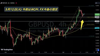 今夜は米CPI. ポンドドル, ドル円, ユーロドルなど FX今後の想定【3月12日(火)】消費者物価指数, ビットコイン BTC, QNT