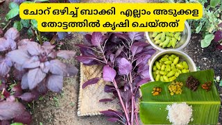 അടുക്കള തോട്ടത്തിലെ കൃഷി രീതികൾ | Cultivation methods in the kitchen garden