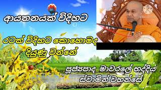 ආයතනයක් විදිහට රටක් විදිහට කොහොමද කොහොමද දියුණු වෙන්නේ //පූජ්‍යපාද මාවරලේ භද්දිය ස්වාමින් වහන්සේ