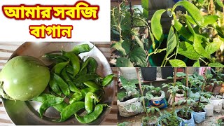 সহজভাবে গড়া আমার সবজি বাগান,/Green Friends vegetable Garden/