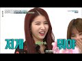 一週的偶像 gfriend shyawing