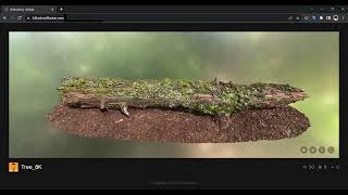 8K texture based on WebGPU