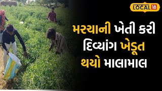 Banaskantha News | મરચાની ખેતી કરી બનાસકાંઠાનો દિવ્યાંગ ખેડૂત થયો માલામાલ | #local18