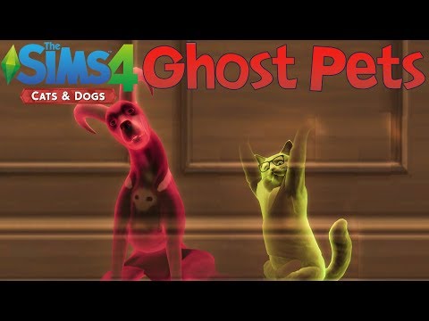 The Sims 4 Cats & Dogs: How to Add Ghost Pets to Your Household The Sims 4 Cats & Dogs: How to Add Ghost Pets to Your Household