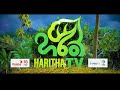 වසරේ ගුණාත්මකම නාලිකාව ලෙසින් හරිත tv සාම ශ්‍රී මාධ්‍ය ශිරෝමණී ගෞරව සම්මානයෙන් පිදුම් ලද වගයි🏆🥇😍🙏