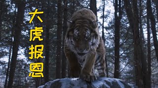 日军猎杀老虎幼崽，却不知道它是虎王的后代，直接被灭掉一个军队