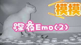 小猫咪又又又无聊了~深夜还是那么容易emo~【交流按钮30】