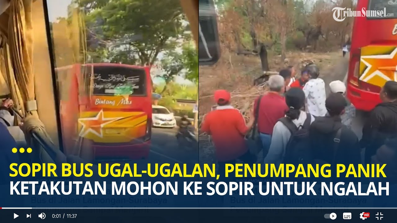 Viral Sopir Bus Ugal-ugalan, Penumpang Panik Ketakutan Memohon Ke Sopir ...