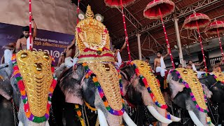 Ettumanoor Mahadeva Temple #trending #utsav #ettumanoorappan #ettumanoor #mahadev #keralatemple