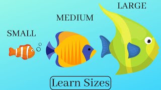 Learn and compare sizes - Small Medium Large for kids.