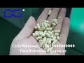 Nutritional meal replacement powder production line nutritional protein powder making machine