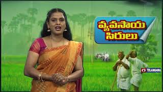 వ్యవసాయసిరులు  || VYAVASAYA SIRULU || Dt : 23-02-2022 ||