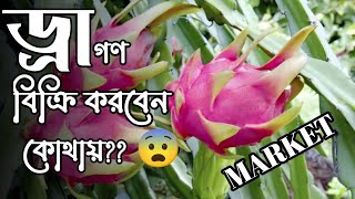 ড্রাগন বিক্রি করবেন কোথায় || DRAGON FRUIT FARMING #dragon #ড্রাগন #Dragon fruit market🐉