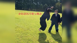 手刀を捌く　剣の理での柔術　古武術の世界