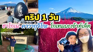 ทริป 1 วันที่ฮาโกเน่-คาวากุจิโกะ-โกเทมบะเอ้าท์เล็ท วิวภูเขาไฟฟูจิเต็มตาตั้งแต่เช้าจรดเย็น🎌