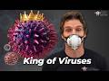 King of the Viruses: What Flu Does to the Body