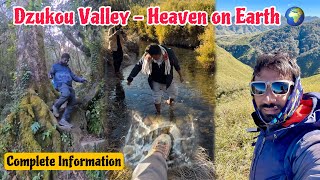 Dzukou Valley - Heaven on earth ❤️ Trekking | Camping ⛺️ in forest 🌳 | Explore Beautiful North East