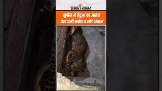 Supaul Leopard Attack Video: सुपौल में तेंदुआ का आतंक, वन कर्मी समेत 4 लोग घायल | Shorts | Bihar